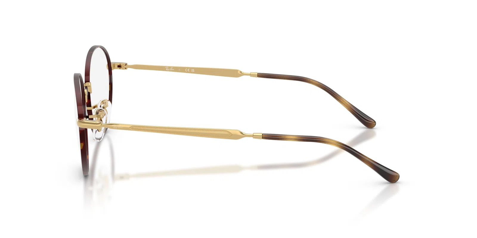 Ray-Ban 6558 Eyeglasses - view 19